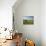 Couple Walking on the Dalesway Long Distance Footpath, Near Kettlewell, Yorkshire-Nigel Blythe-Photographic Print displayed on a wall