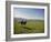 Couple Walking on the Dalesway Long Distance Footpath, Near Kettlewell, Yorkshire-Nigel Blythe-Framed Photographic Print