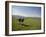 Couple Walking on the Dalesway Long Distance Footpath, Near Kettlewell, Yorkshire-Nigel Blythe-Framed Photographic Print