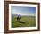 Couple Walking on the Dalesway Long Distance Footpath, Near Kettlewell, Yorkshire-Nigel Blythe-Framed Photographic Print