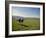 Couple Walking on the Dalesway Long Distance Footpath, Near Kettlewell, Yorkshire-Nigel Blythe-Framed Photographic Print