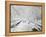 Couple Walking Through Park in Snow-Bettmann-Framed Premier Image Canvas