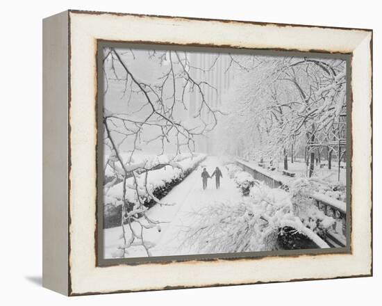 Couple Walking Through Park in Snow-Bettmann-Framed Premier Image Canvas