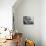 Couple with Table Covered in Food for Holiday Meal-null-Photo displayed on a wall