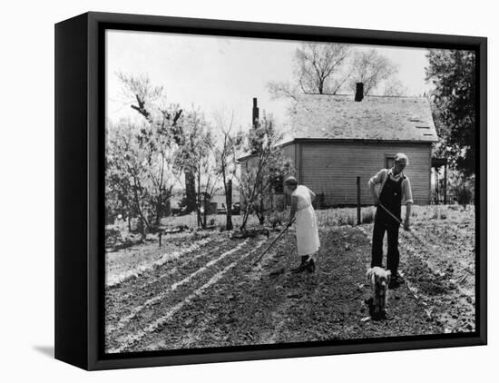 Couple Working in Garden on Farm Security Housing Project-Carl Mydans-Framed Premier Image Canvas
