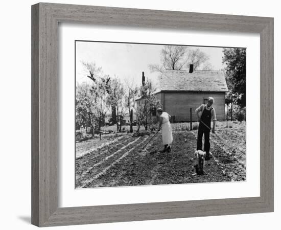 Couple Working in Garden on Farm Security Housing Project-Carl Mydans-Framed Photographic Print