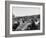 Couples Enjoying Food During Intermission of the Opera at the Glyndebourne Festival-Cornell Capa-Framed Photographic Print