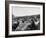 Couples Enjoying Food During Intermission of the Opera at the Glyndebourne Festival-Cornell Capa-Framed Photographic Print