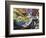 Coupon Stories-Dan Monteavaro-Framed Giclee Print