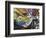 Coupon Stories-Dan Monteavaro-Framed Giclee Print