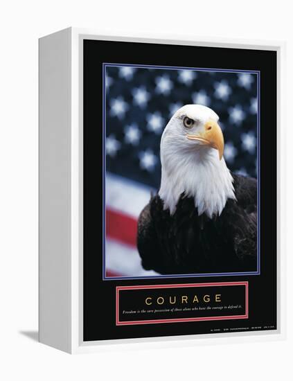 Courage - Eagle and Flag-Unknown Unknown-Framed Stretched Canvas
