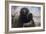 Courbet with His Black Dog, 1842-Gustave Courbet-Framed Giclee Print