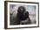 Courbet with His Black Dog, 1842-Gustave Courbet-Framed Giclee Print