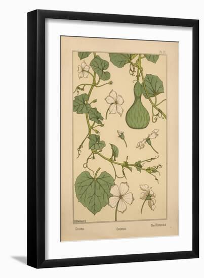 Courd-null-Framed Giclee Print