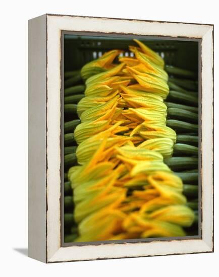 Courgette Flowers on a Market Stall-Marc O^ Finley-Framed Premier Image Canvas