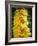 Courgette Flowers on a Market Stall-Marc O^ Finley-Framed Photographic Print