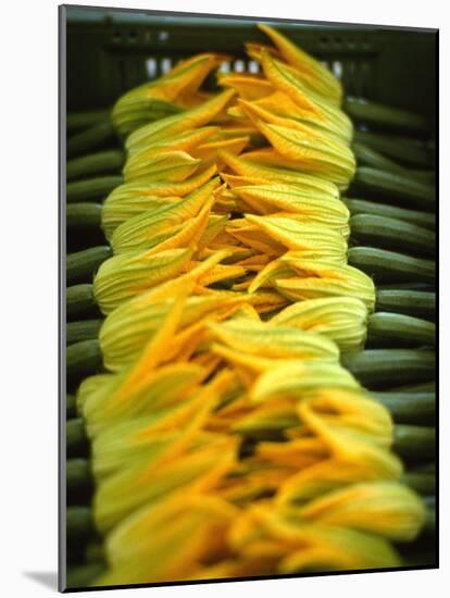 Courgette Flowers on a Market Stall-Marc O^ Finley-Mounted Photographic Print