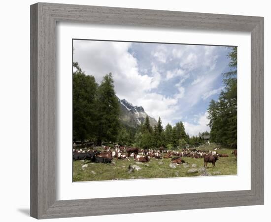 Courmayeur, Mont Blanc, Val Ferret, Aosta Valley, Italy, Europe-Angelo Cavalli-Framed Photographic Print