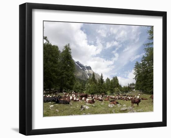 Courmayeur, Mont Blanc, Val Ferret, Aosta Valley, Italy, Europe-Angelo Cavalli-Framed Photographic Print