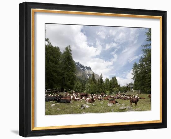 Courmayeur, Mont Blanc, Val Ferret, Aosta Valley, Italy, Europe-Angelo Cavalli-Framed Photographic Print