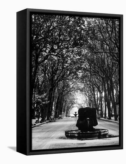 Cours Mirabeau, One of the Main Avenues in Aix En Provence-Gjon Mili-Framed Premier Image Canvas