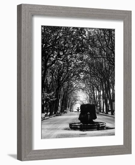 Cours Mirabeau, One of the Main Avenues in Aix En Provence-Gjon Mili-Framed Photographic Print