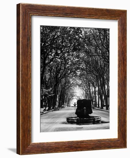 Cours Mirabeau, One of the Main Avenues in Aix En Provence-Gjon Mili-Framed Photographic Print