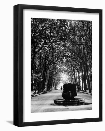 Cours Mirabeau, One of the Main Avenues in Aix En Provence-Gjon Mili-Framed Photographic Print