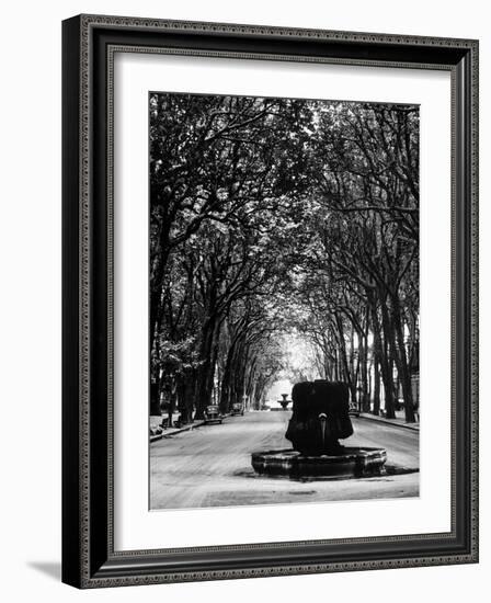 Cours Mirabeau, One of the Main Avenues in Aix En Provence-Gjon Mili-Framed Photographic Print