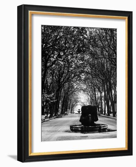 Cours Mirabeau, One of the Main Avenues in Aix En Provence-Gjon Mili-Framed Photographic Print