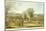 Coursing - a View of Hatfield Park, Engraved by James Pollard (1797-1867)-James Pollard-Mounted Giclee Print