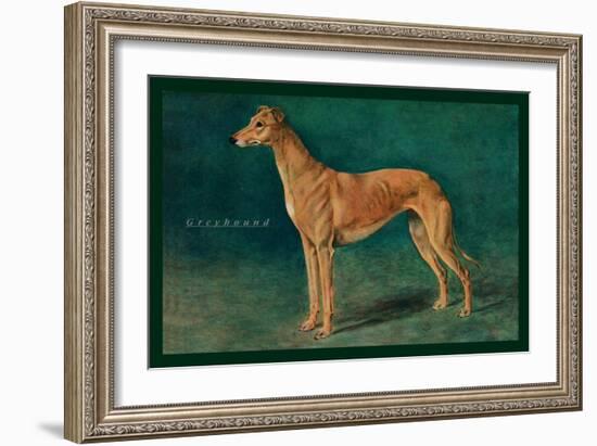 Coursing Greyhound-null-Framed Art Print