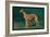 Coursing Greyhound-null-Framed Art Print