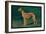 Coursing Greyhound-null-Framed Art Print