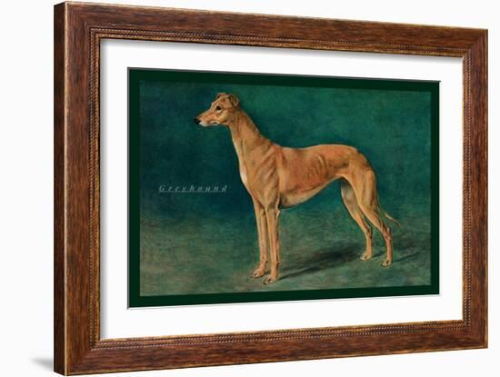 Coursing Greyhound-null-Framed Art Print