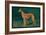 Coursing Greyhound-null-Framed Art Print