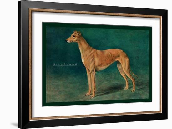 Coursing Greyhound-null-Framed Art Print