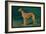 Coursing Greyhound-null-Framed Art Print