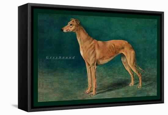 Coursing Greyhound-null-Framed Stretched Canvas