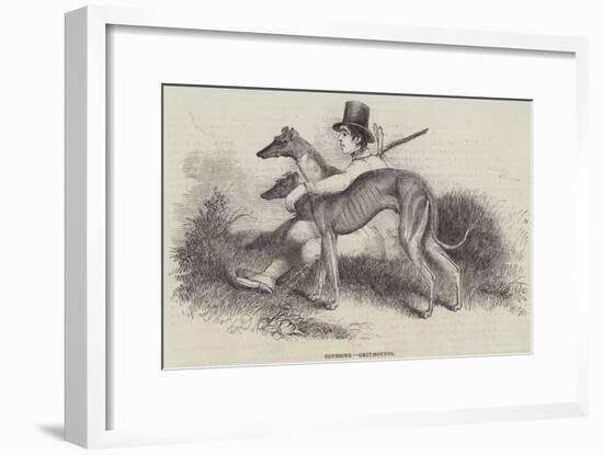 Coursing, Greyhounds-null-Framed Giclee Print