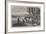 Coursing Meeting at Hampton Park-Frederick John Skill-Framed Giclee Print