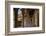 Court of the Lions, Alhambra, Granada, Province of Granada, Andalusia, Spain-Michael Snell-Framed Photographic Print