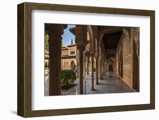 Court of the Lions, Alhambra, Granada, Province of Granada, Andalusia, Spain-Michael Snell-Framed Photographic Print