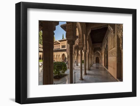 Court of the Lions, Alhambra, Granada, Province of Granada, Andalusia, Spain-Michael Snell-Framed Photographic Print