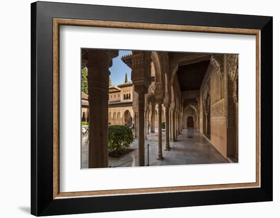 Court of the Lions, Alhambra, Granada, Province of Granada, Andalusia, Spain-Michael Snell-Framed Photographic Print