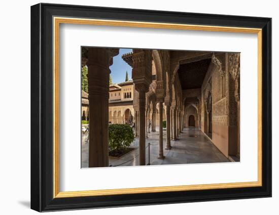 Court of the Lions, Alhambra, Granada, Province of Granada, Andalusia, Spain-Michael Snell-Framed Photographic Print