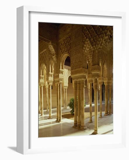 Court of the Lions in the Alhambra Palace in Granada, Andalucia, Spain-Michael Busselle-Framed Photographic Print