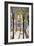 Court of the Lions, the Alhambra, Granada, Andalusia, Spain, C1924-null-Framed Premium Giclee Print