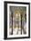 Court of the Lions, the Alhambra, Granada, Andalusia, Spain, C1924-null-Framed Giclee Print