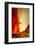 Courtain Call-Ursula Abresch-Framed Photographic Print